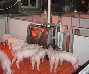 _0001_SDC15100 (Large)