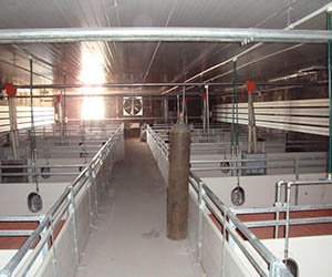 _0000_DSC01676 (Large)