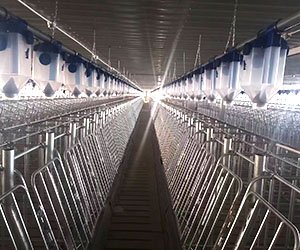 _0002_26961bb574b171e86bb63fbd860ddc2