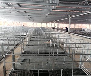 _0002_IMG_20220523_074227