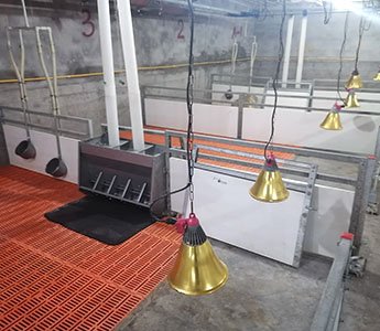 _0004_IMG_20220624_171016