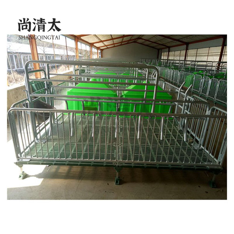 Farrowing Crate SQT-FC008
