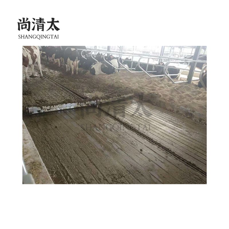 Fecal cleaning system