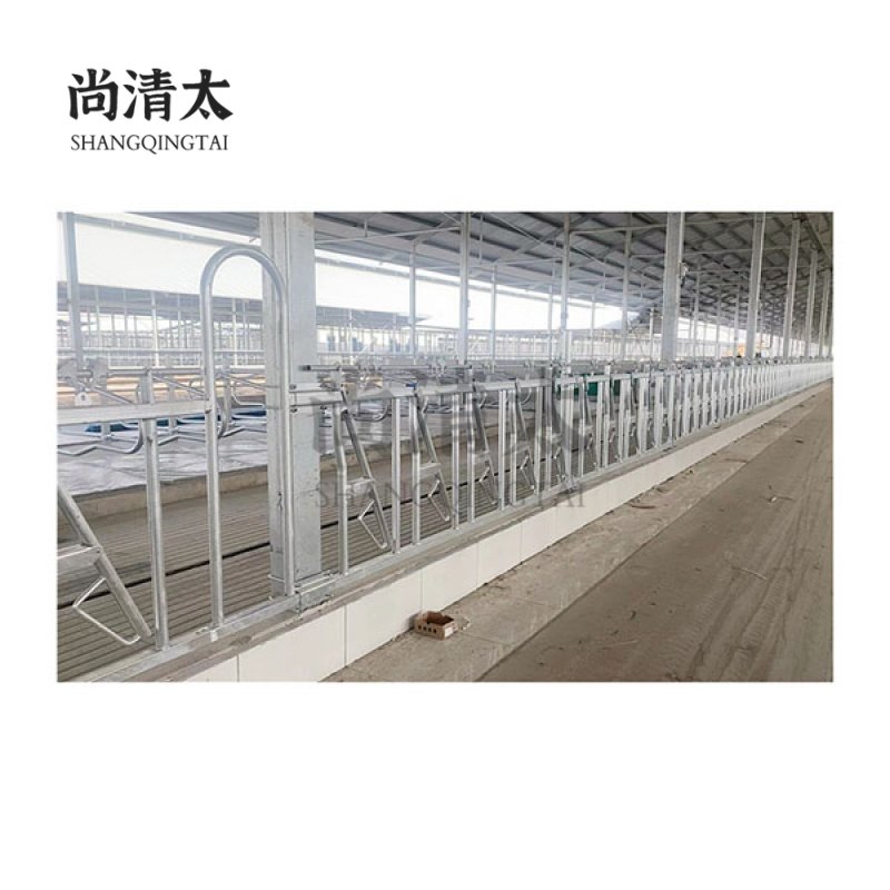 Cattle&Cow Headlock Stall