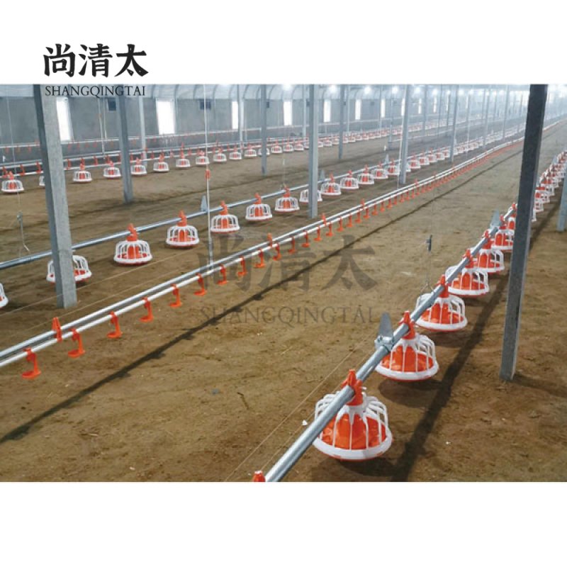 Automatic Feeding System For Ground Poultry