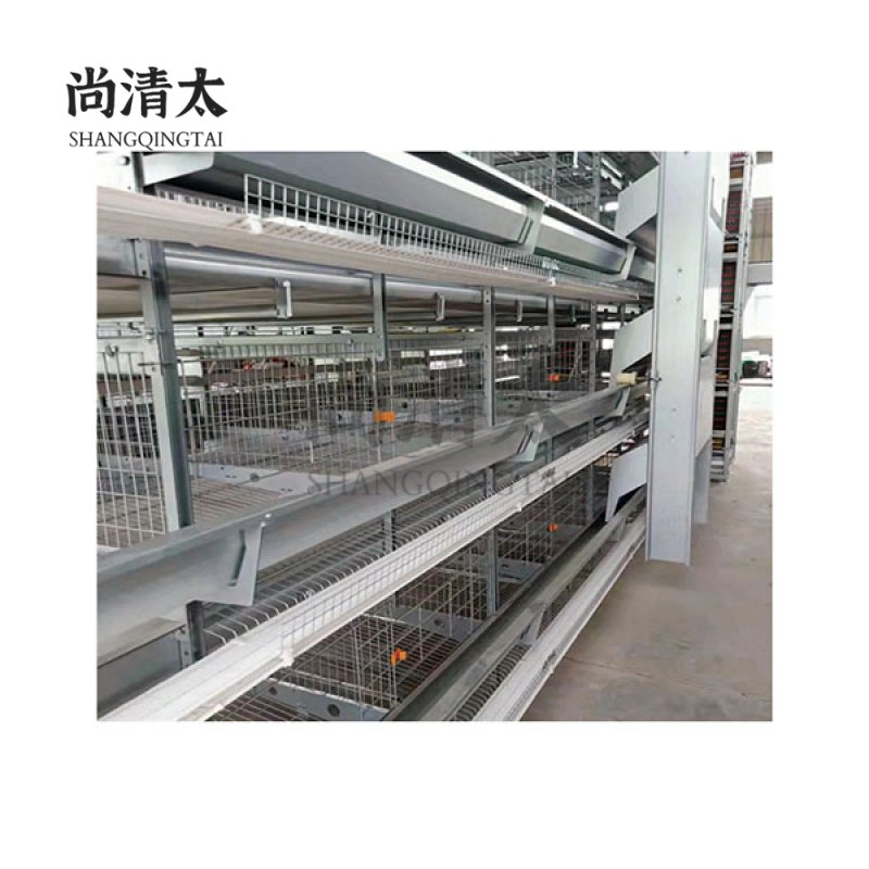 H Type Automatic Cage System For Laying Hens