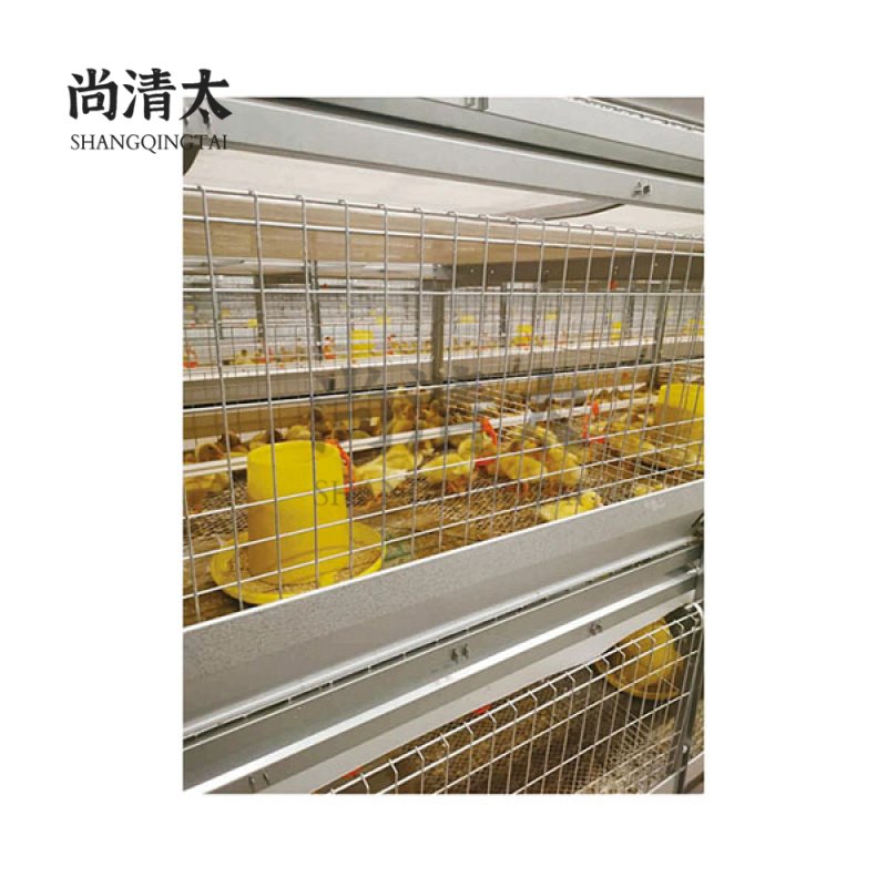 Meat Duck Automatic Cage System